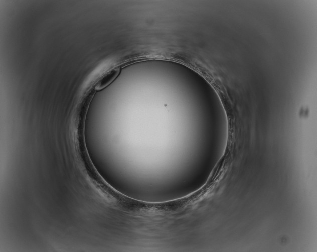 X0000101440197200807141314