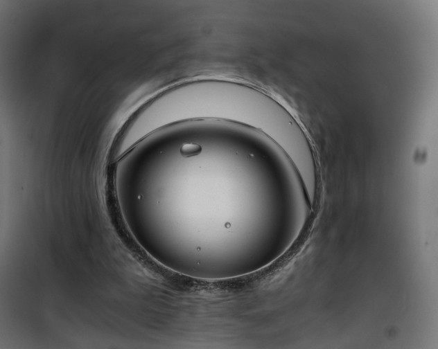 X0000101440199200807141314