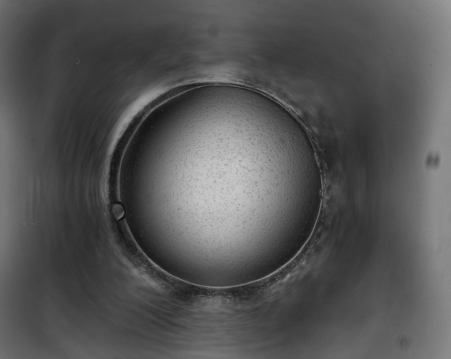 X0000101440200200807141314