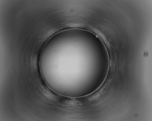 X0000101440201200807141314