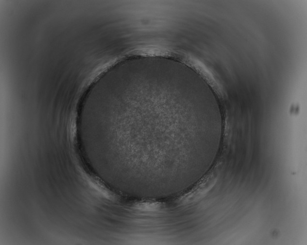 X0000101440202200807141314