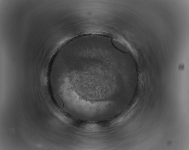 X0000101440203200807141314