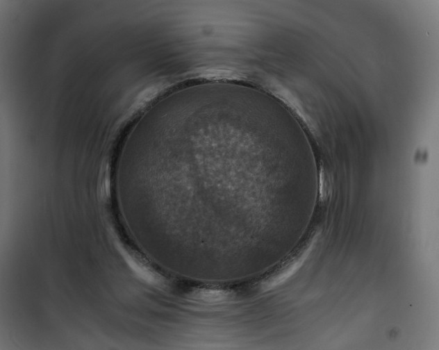 X0000101440205200807141314