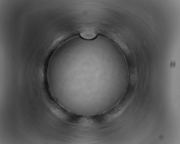 X0000101440207200807141314