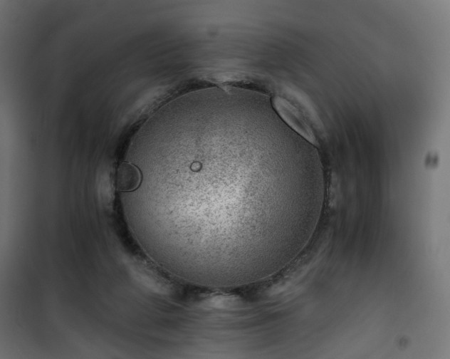 X0000101440210200807141314