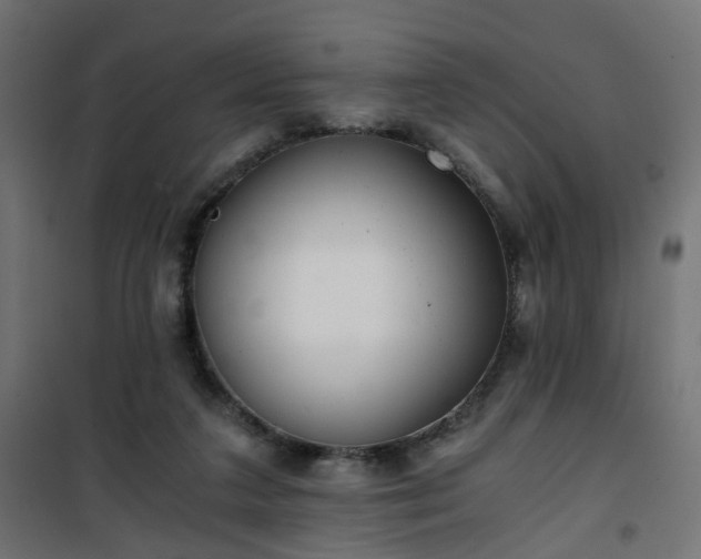 X0000101440211200807141314