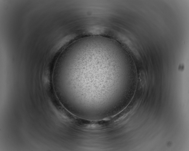 X0000101440212200807141314