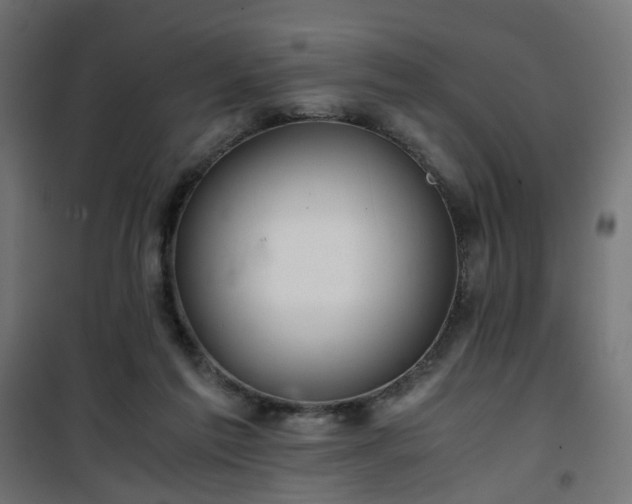 X0000101440213200807141314