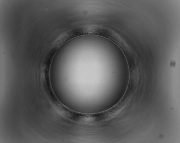 X0000101440217200807141314