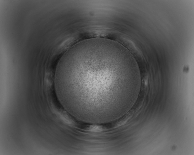 X0000101440218200807141314