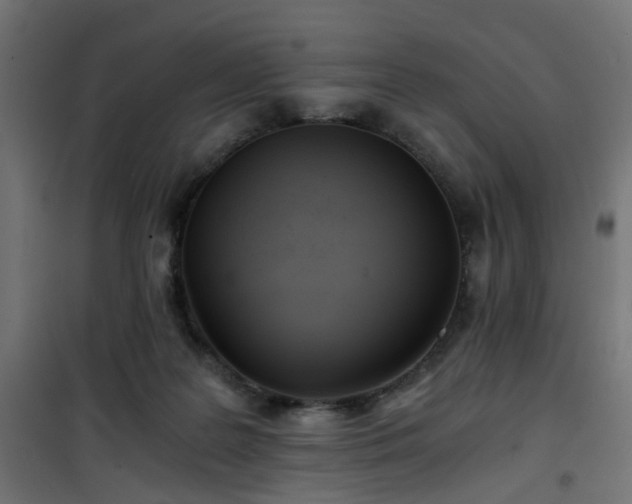 X0000101440219200807141314