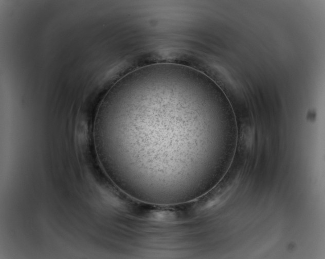 X0000101440220200807141314