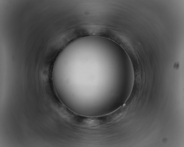 X0000101440221200807141314