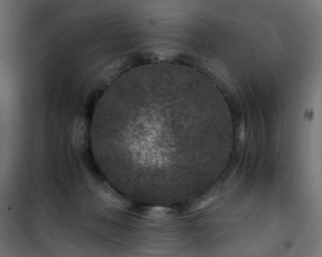 X0000101440222200807141314