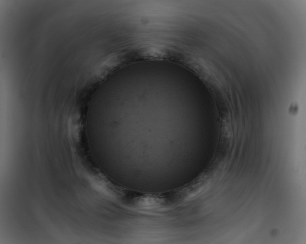 X0000101440223200807141314