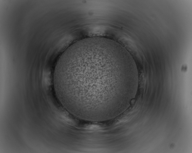 X0000101440224200807141314