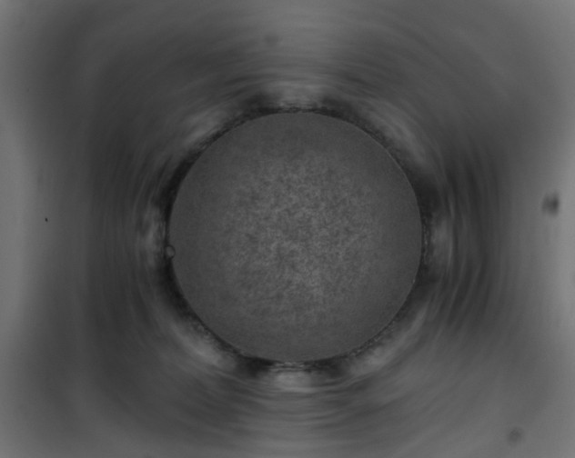 X0000101440228200807141314