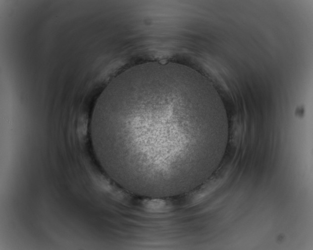 X0000101440230200807141314