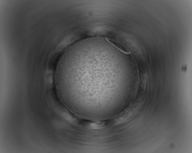 X0000101440232200807141314