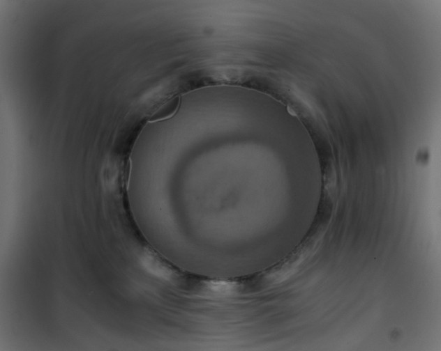 X0000101440233200807141314