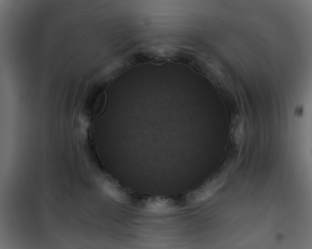 X0000101440235200807141314