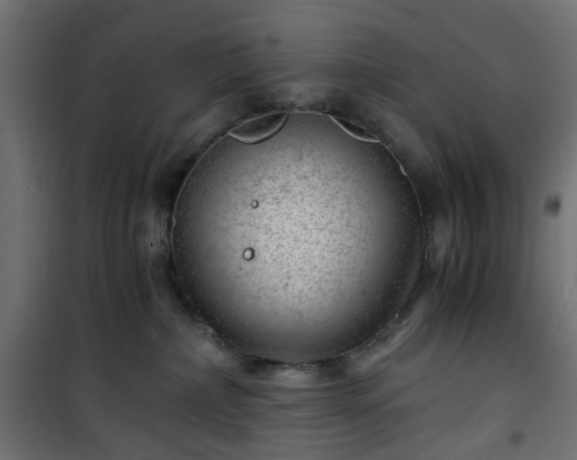 X0000101440236200807141314