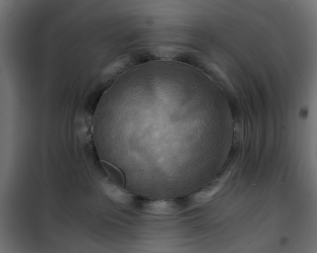 X0000101440237200807141314