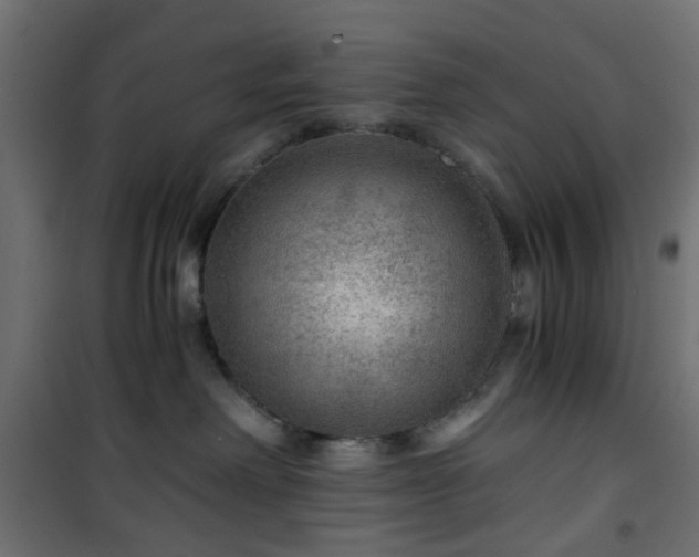 X0000101440238200807141314