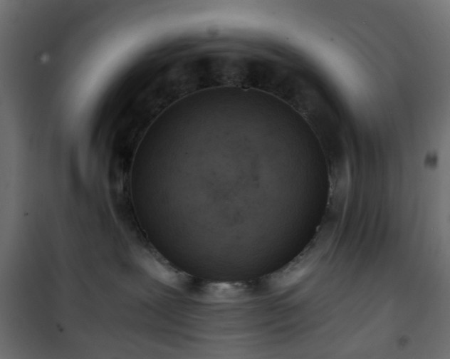 X0000101440239200807141314