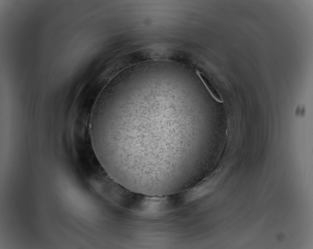 X0000101440240200807141314