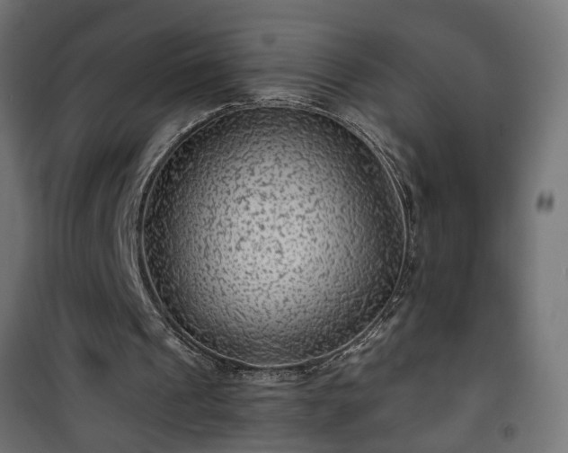 X0000101440241200807141313