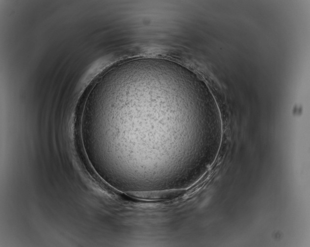 X0000101440242200807141313