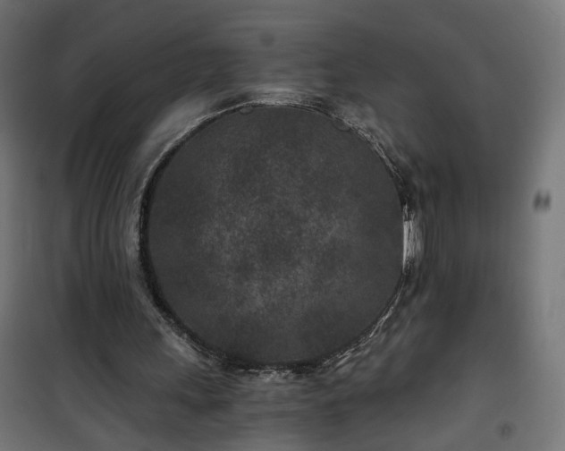 X0000101440243200807141313