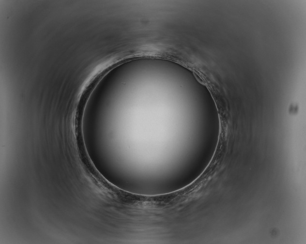 X0000101440244200807141313