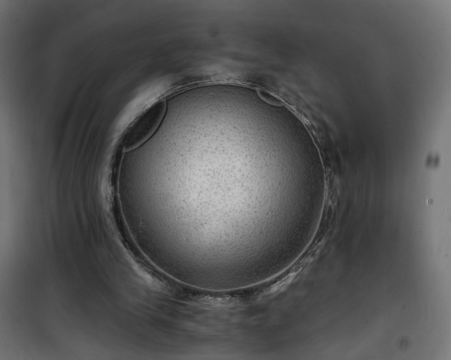 X0000101440245200807141313