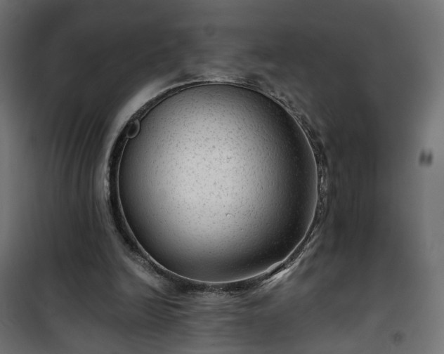 X0000101440246200807141313