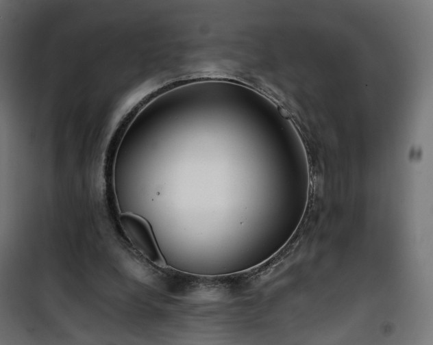 X0000101440248200807141313