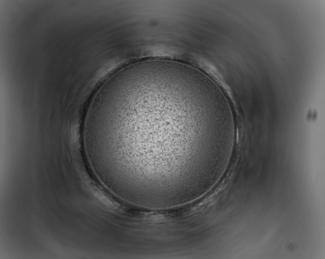 X0000101440249200807141313