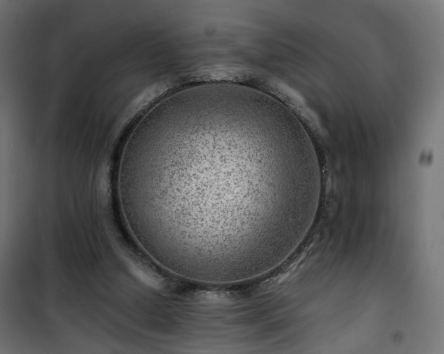 X0000101440250200807141313