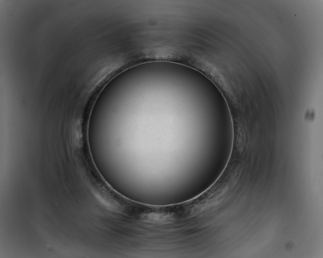 X0000101440251200807141313