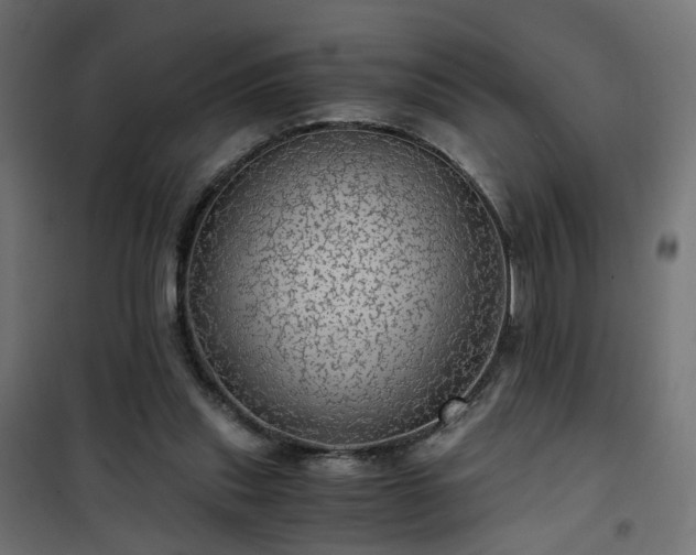 X0000101440253200807141313