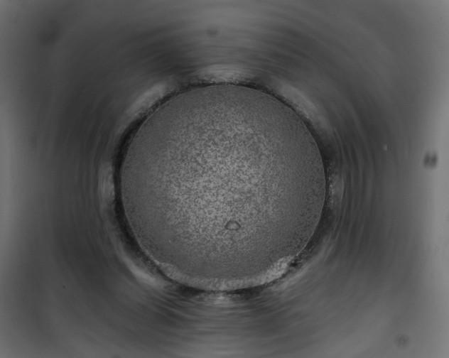 X0000101440254200807141313