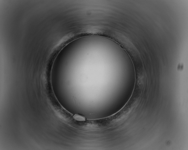 X0000101440256200807141313