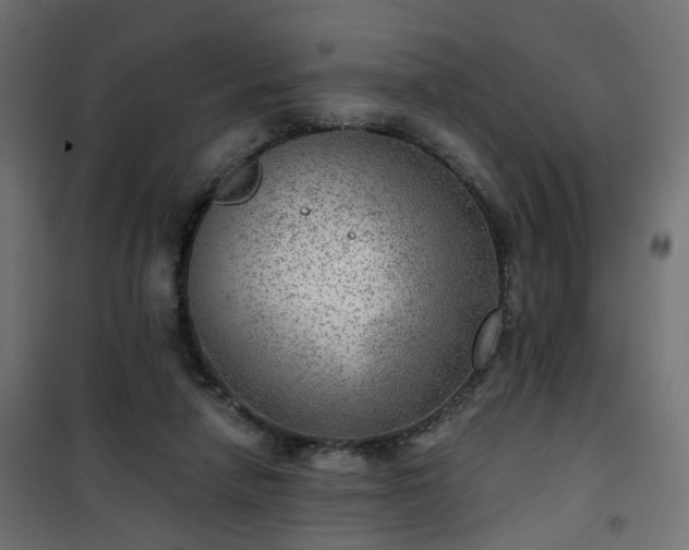 X0000101440258200807141313