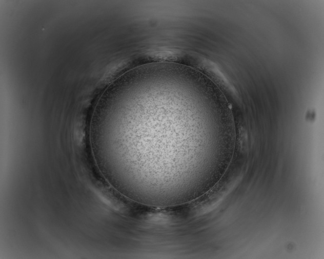 X0000101440259200807141313