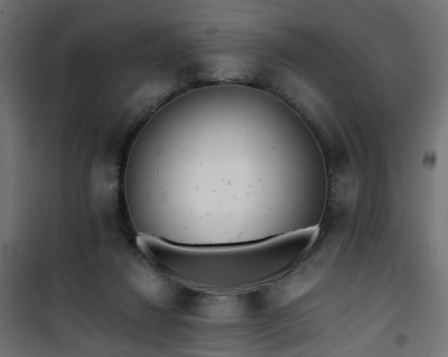 X0000101440260200807141313