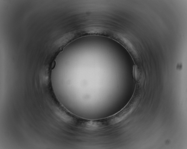 X0000101440261200807141313