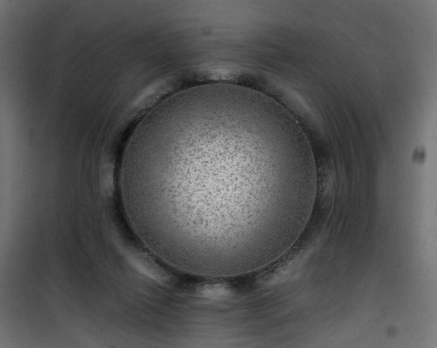 X0000101440262200807141313