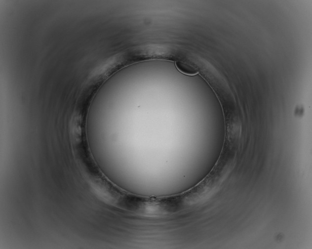 X0000101440264200807141313