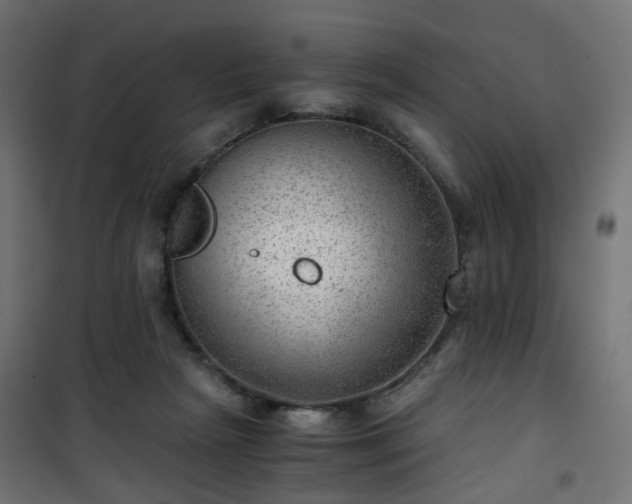 X0000101440265200807141313